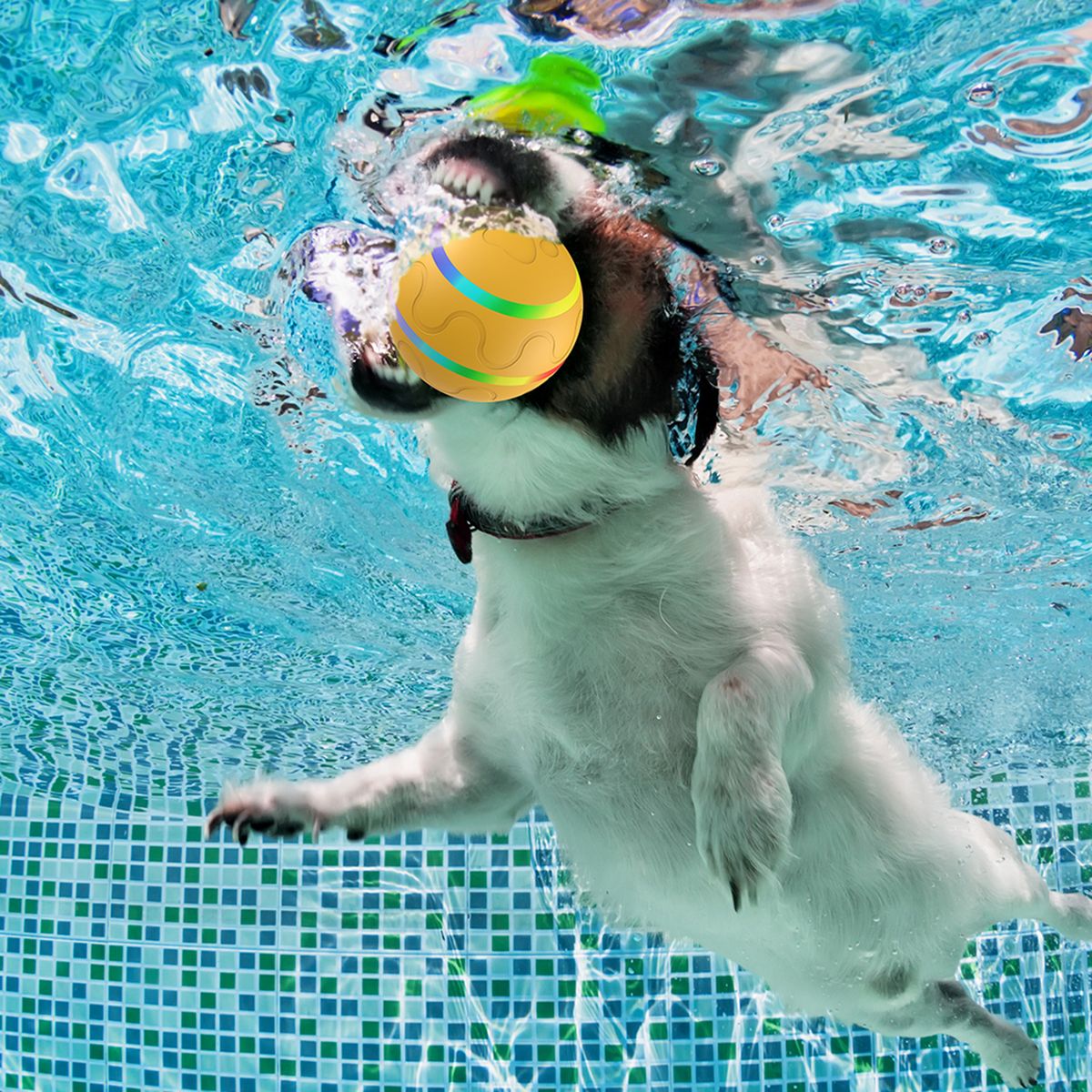 Dog Ball Toy Interactive Puppy Cat Pet Rolling Toy Remote