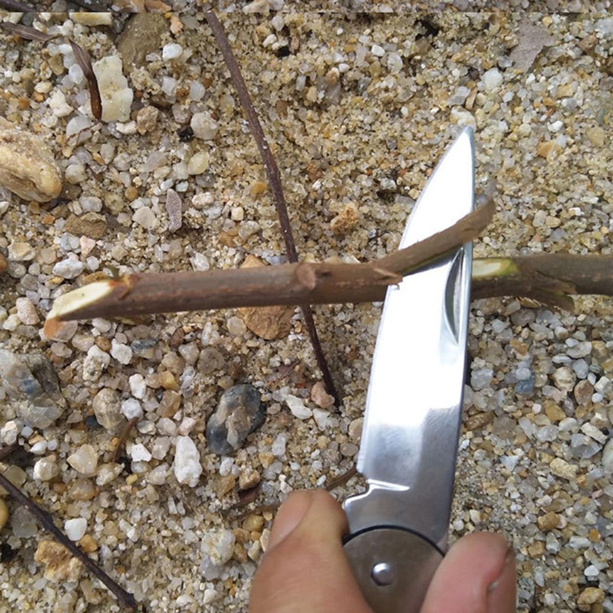 Folding Cutter Integrated Molding Outdoor Cutter Stainless Steel
