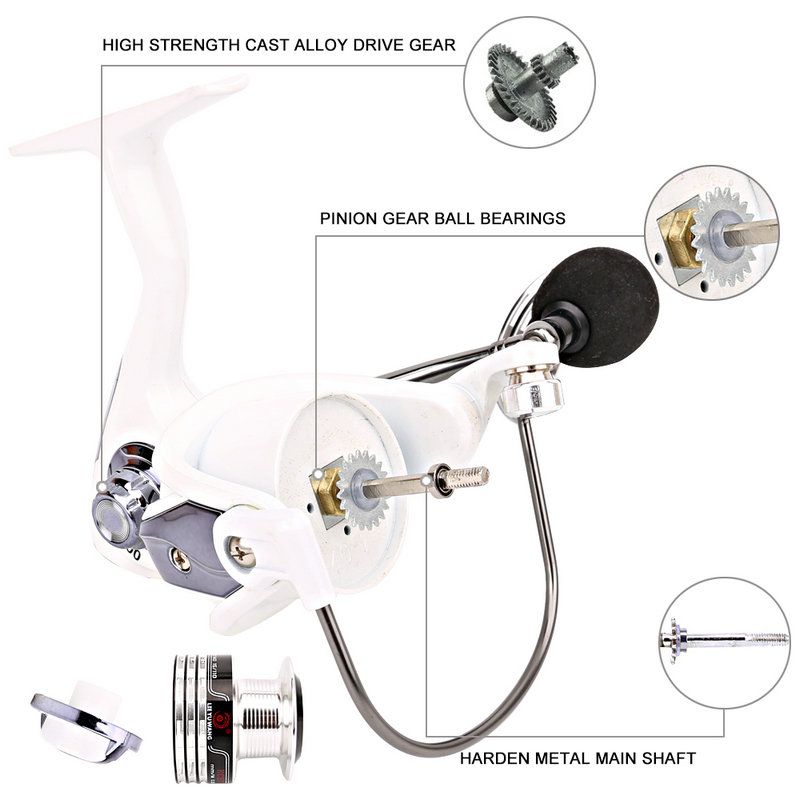 Fishing Reel 3000 5kg Drag Max Saltwater Bearking