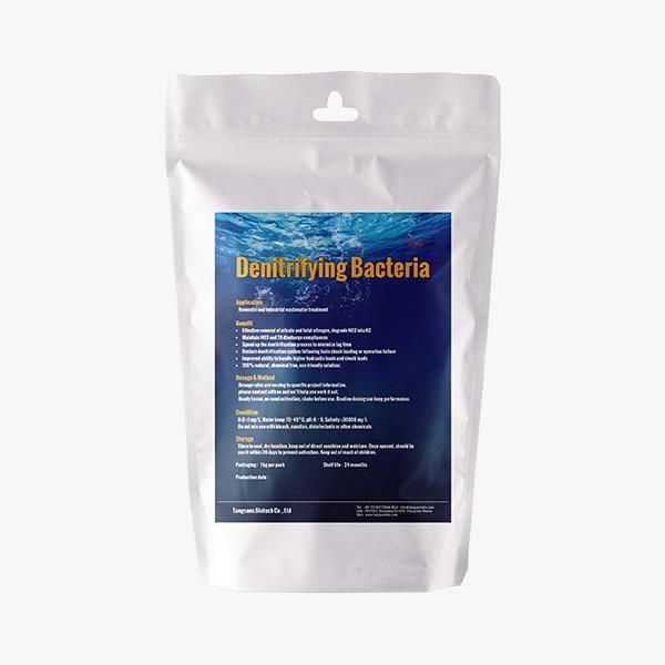 Denitrifying Bacteria