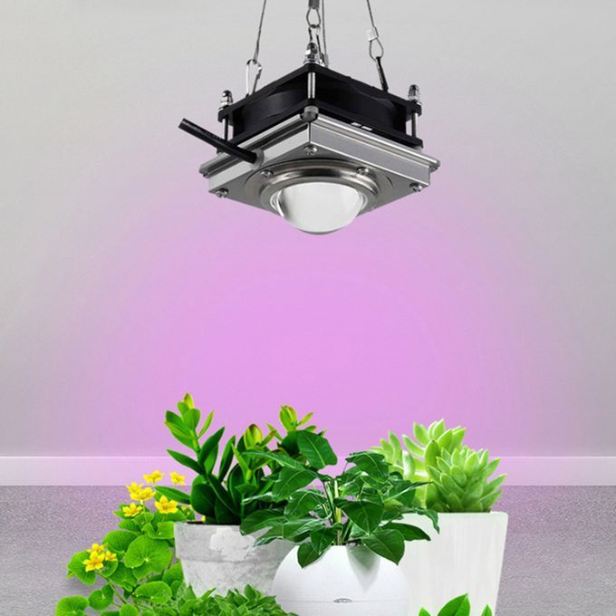 LED Grow Light 60W Plant Light For Indoor Plants Grow Full Spectrum