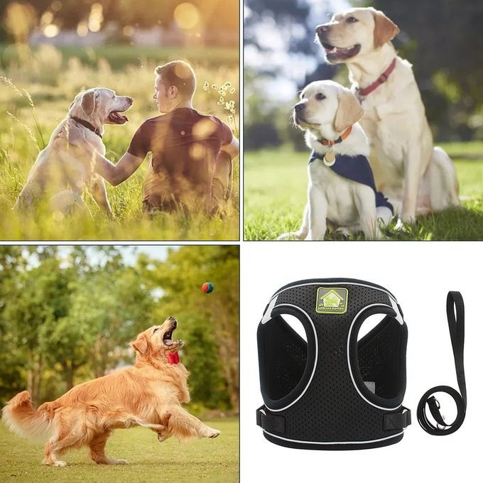 Nylon Mesh  At Harness Refle Tive Dog Vest Harness & Leash Set For Walking-black-M