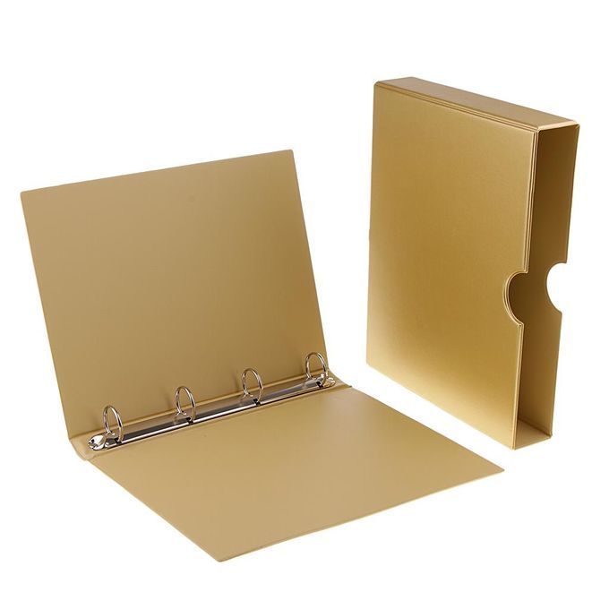 PVC Coins Storage Case Box Container Holder Book Album For Golden