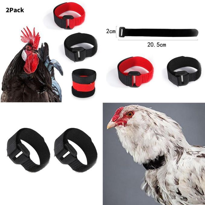 16pcs Chicken Collar Prevent Rooster From Screaming For Rooster Goose