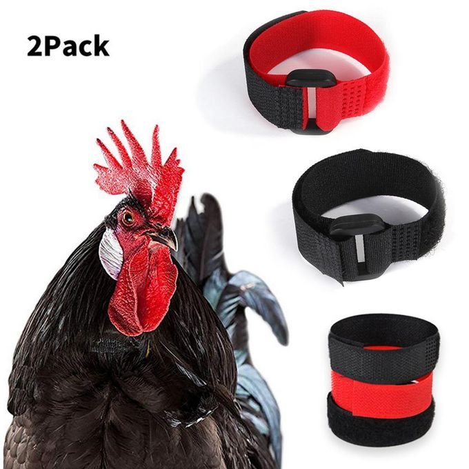 16pcs Chicken Collar Prevent Rooster From Screaming For Rooster Goose