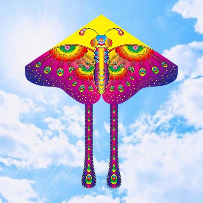 Beautiful Kites Outdoor Toys Flying Game Animal Kites For Adults Kids