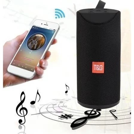 TG 113 Portable Bluetooth Speaker