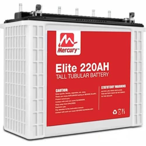 Tall Tubular Battery - 220ah 12volts - Set Of 2