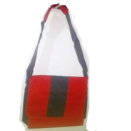 Portable Laptop Bag
