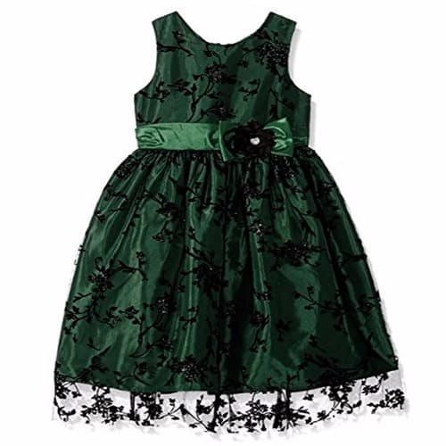 Green Velvet Dress with Embroidered Lace