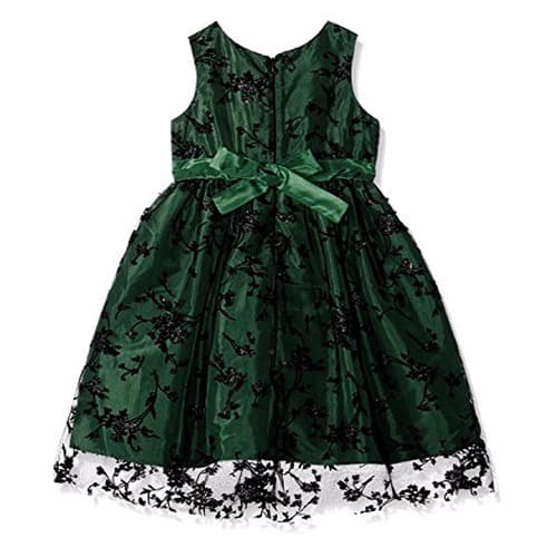 Green Velvet Dress with Embroidered Lace