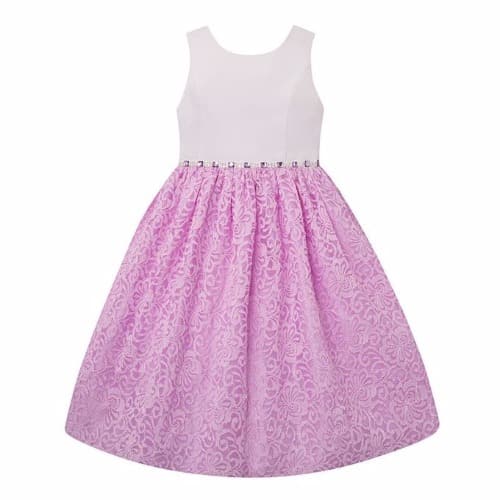Baby Girl's Lace Skirt Dress