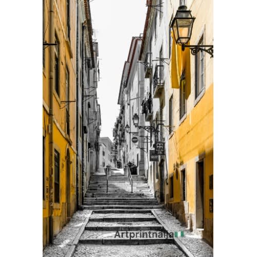 Picture Framed Art - 3 In 1