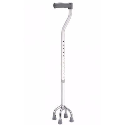 Walking Stick