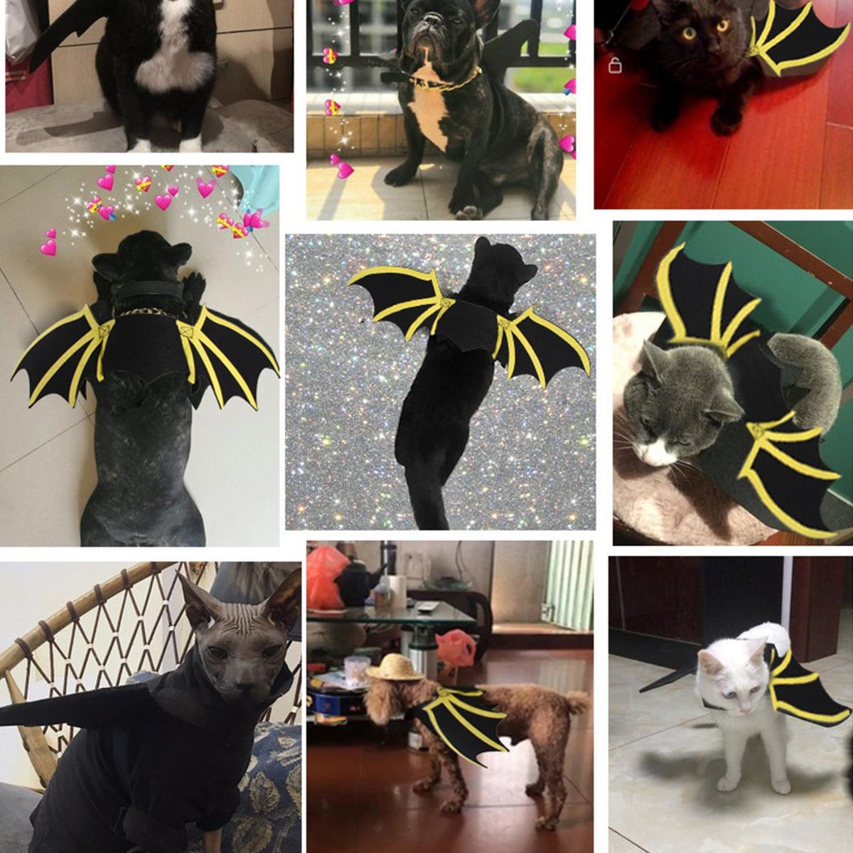 Halloween Cat Bat Costume Cat Batwings Cosplay Costume for Halloween Pet Fancy Dress for Cats Dogs