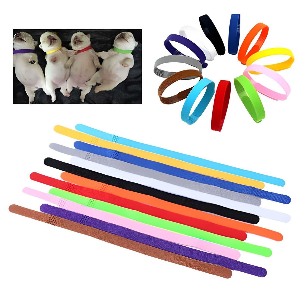 12Pcs 20cm Puppy Collars Comfortable Personalised Newborn