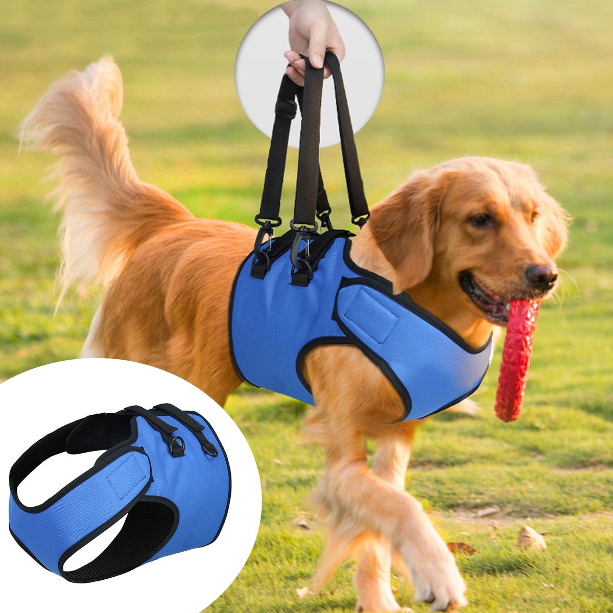 Dog Vest Harness Soft Comfortable Pet Leg Assistance Harness Blue