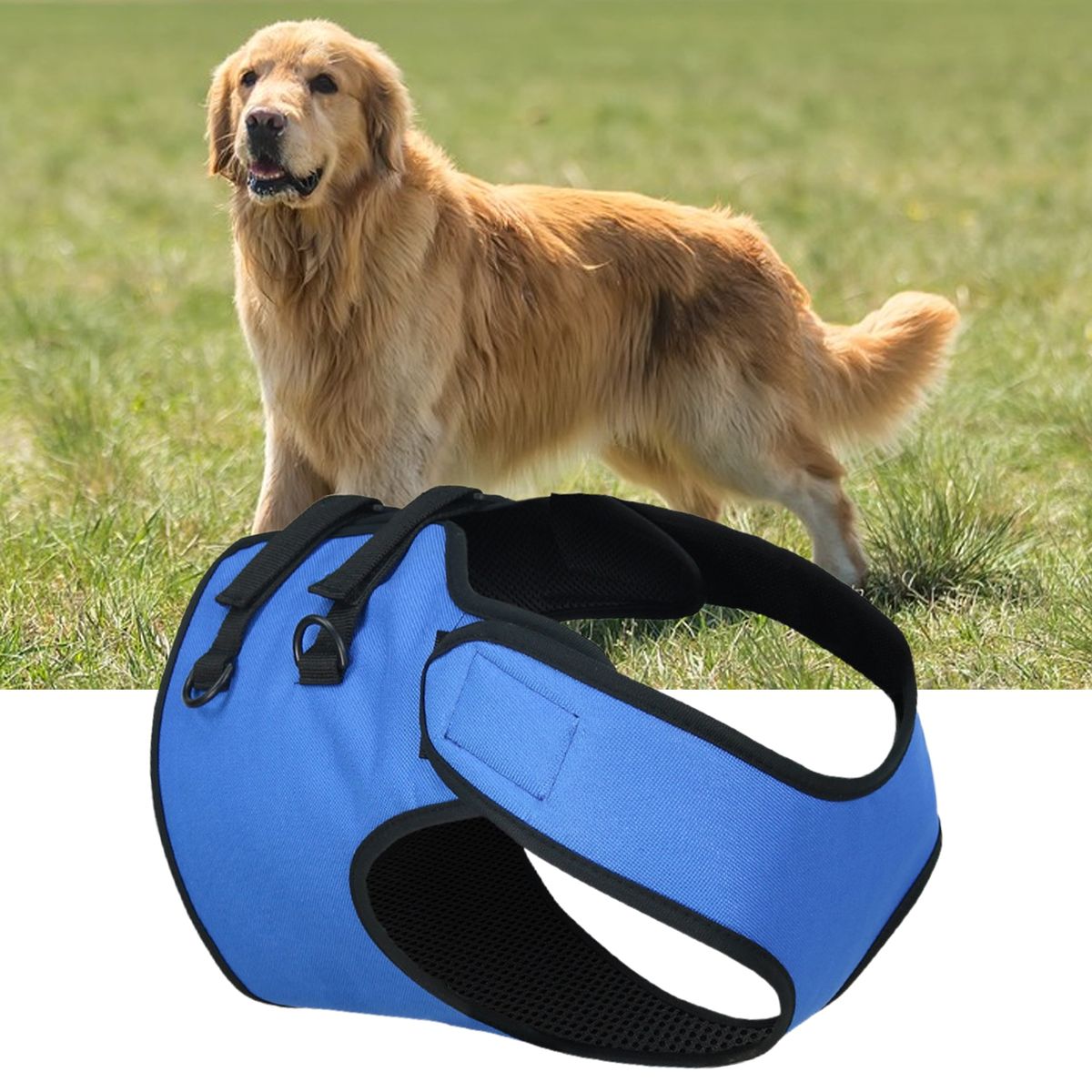 Dog Vest Harness Soft Comfortable Pet Leg Assistance Harness Blue