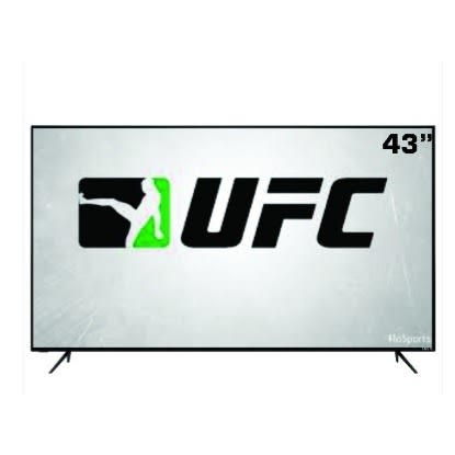 UFC 43