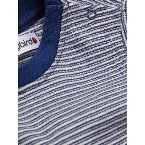 T Shirt For Boys-  Pack of 3