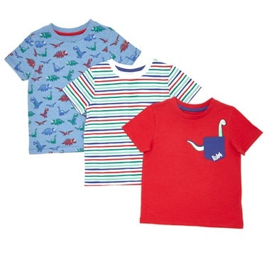 Boys Roar T Shirt- Pack of 3