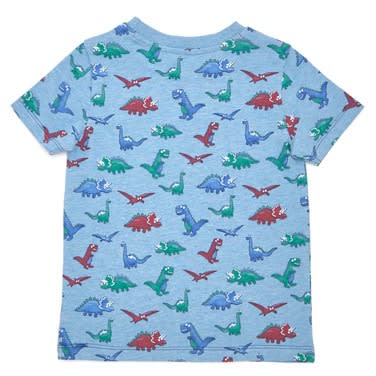 Boys Roar T Shirt- Pack of 3