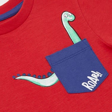 Boys Roar T Shirt- Pack of 3