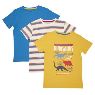Boys Dinosaur T Shirt- Pack of 3