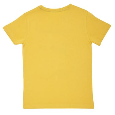 Boys Dinosaur T Shirt- Pack of 3