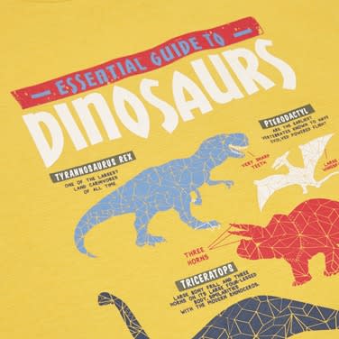 Boys Dinosaur T Shirt- Pack of 3