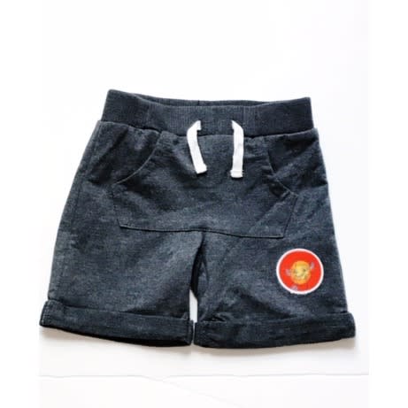 Baby Boy Lion King T Shirt & Shorts Set