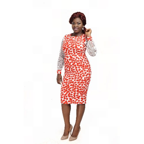 Net Sleeve Bodycon Dress