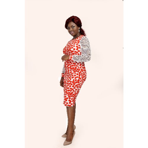 Net Sleeve Bodycon Dress
