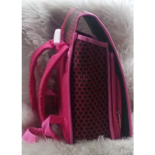 Miraculous Ladybug Backpack