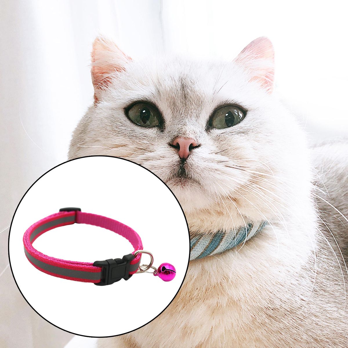 1Pcs Dog Cat Luminous Collar Necklace Night Dog Cat Rose