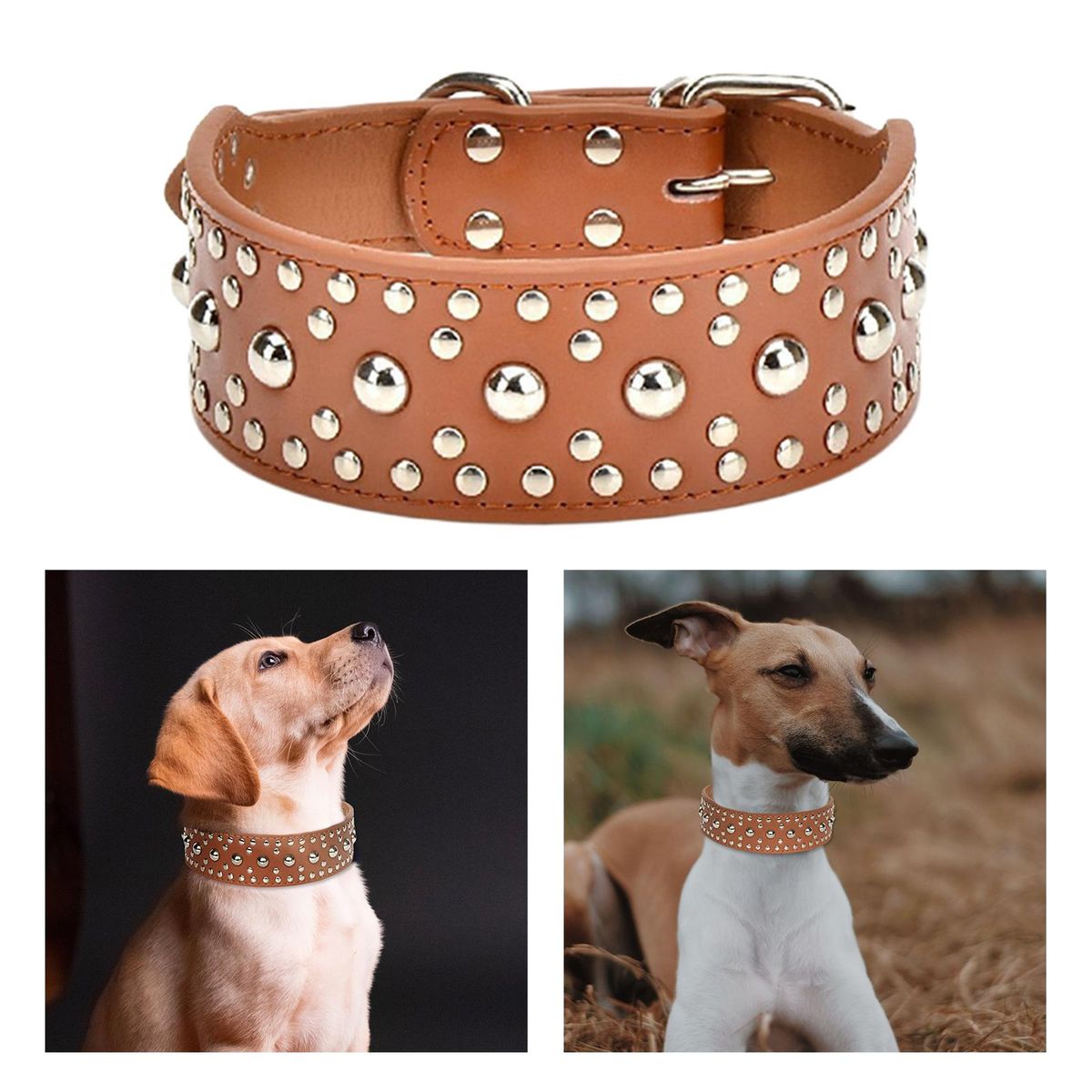 Puppy Collar Breeds Strong Medium 1 Piece Bright M Brown