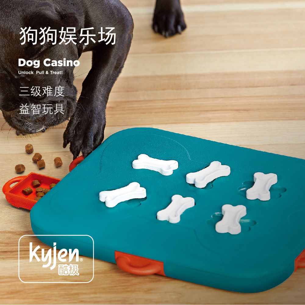 Kyjen Cool Extreme Pet Dog Toy Dog Casino Treasure Hunt
