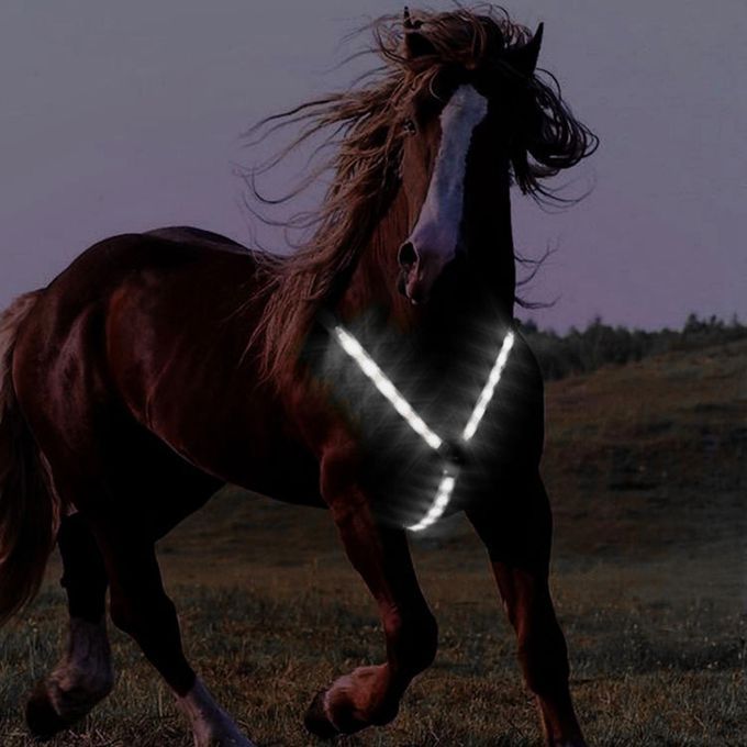 LED Horse Breastplate Collar Harness 3 Lighting Modes Battery White
