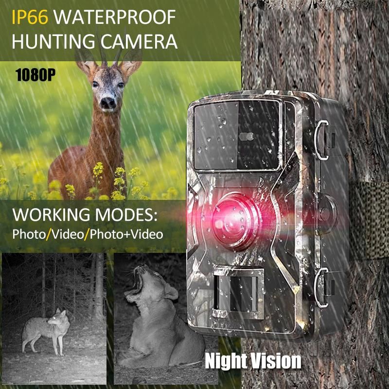 16MP 1080P Wildlife Hunting Trail and Game Camera with 16GB/32GB TF Card Motion Activated Security Camera IP66 Waterproof Outdoor Infrared Night Vision Hunting Scouting Camera