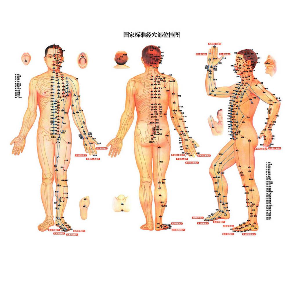 Rheumatism C496 Back Povihome Medical Pain Knee 96Pcs/12Bags Arthritis Joint Pain Body Relief Massager Patch Pain Plaster