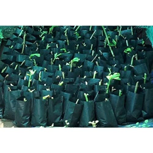 Grow Plant Nursery Bags - 6x8" - 100Pieces