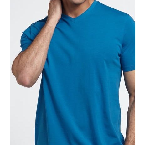 Mens T-shirt- Blue