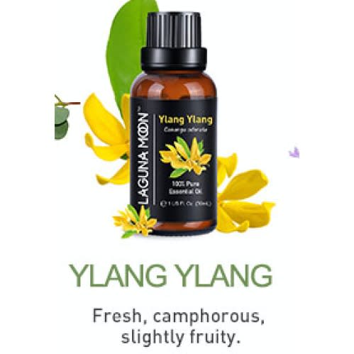 Ylang Ylang Essential Oil - 30ml