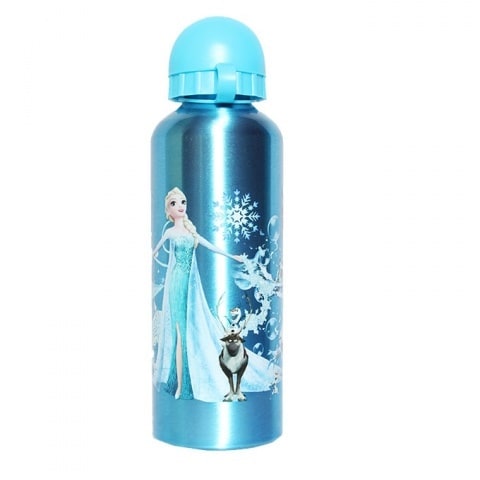 Frozen Metal Water Bottle - Blue