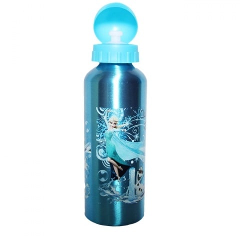 Frozen Metal Water Bottle - Blue