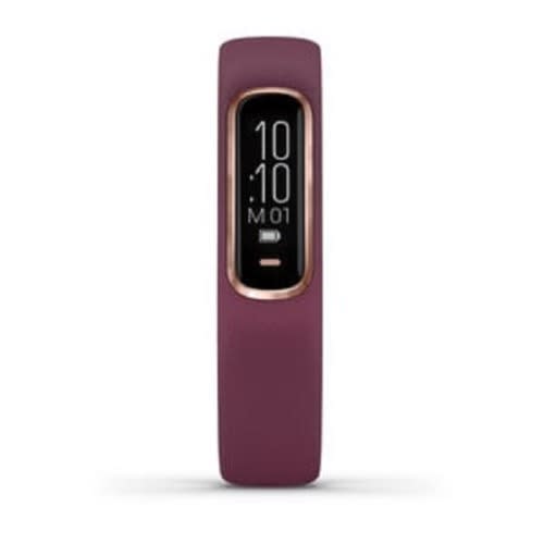 Vivosmart 4 Rose Gold With Berry Band/size S-m