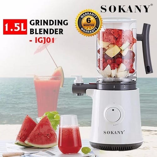 Heavyduty Grinding Blender - 800w