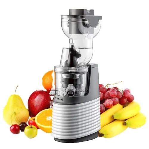 Whole Slow Juicer - -300w Je-32