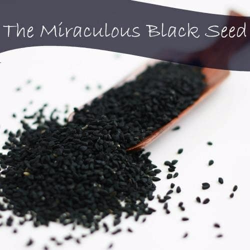 Black Seed Powder - Ground 100 grams