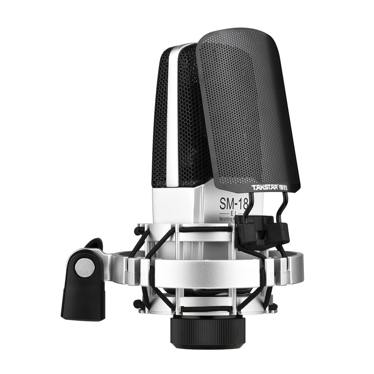 TAKSTAR SM-18 EL Professional Recording Microphone Cardioid Condenser XLR Mic Kit with Adjustable Shock Mount Metal Pop Screen for Studio Vocal Music Instrument Live Stream Performance